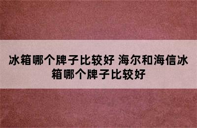 冰箱哪个牌子比较好 海尔和海信冰箱哪个牌子比较好